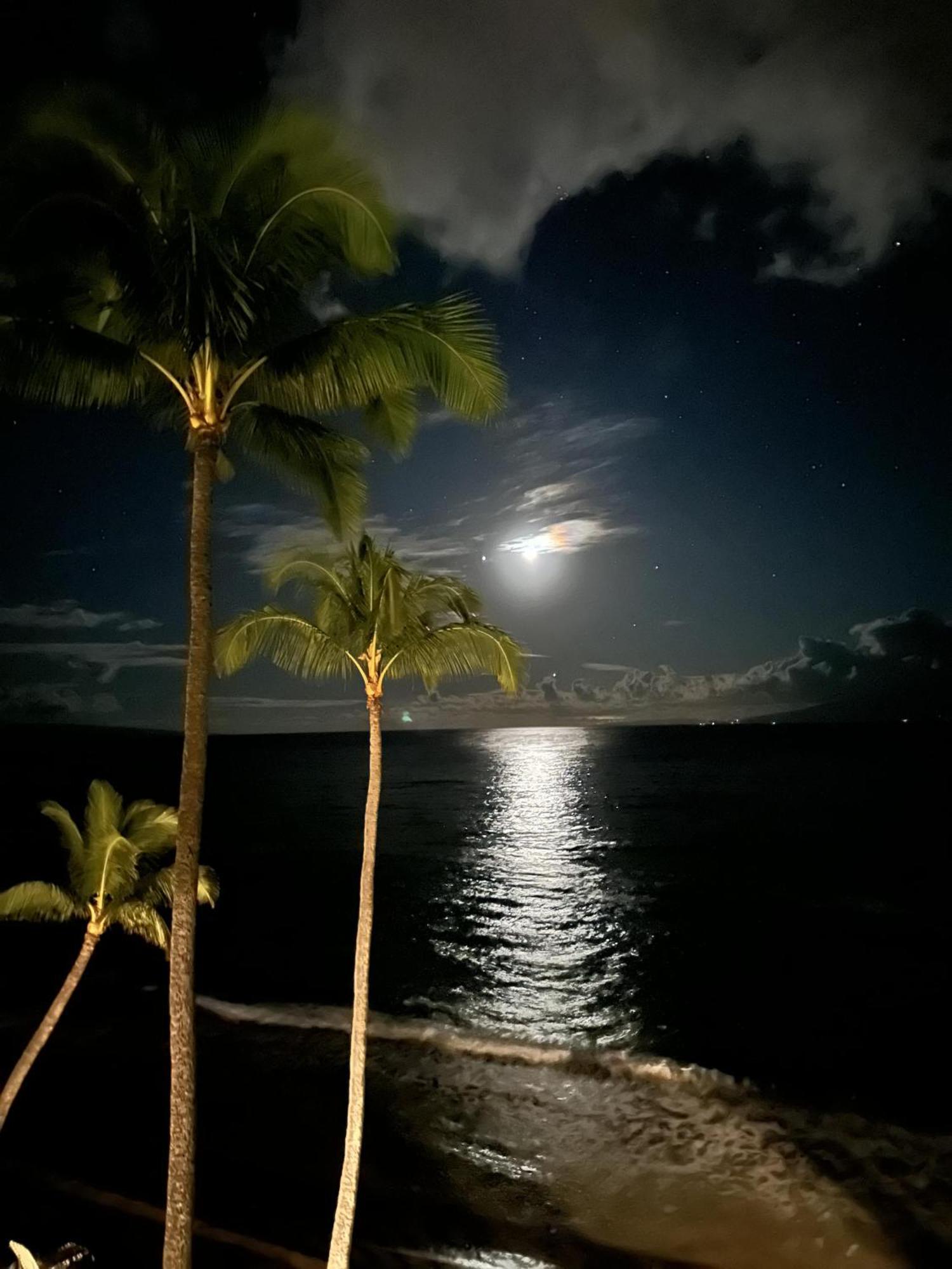 Kahana Paki Maui 405 빌라 외부 사진
